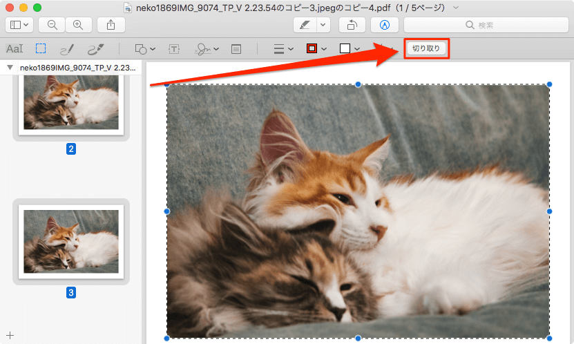 Macのプレビューを使ってpdfの全ページを一括トリミングする方法 あびこさん がんばらない