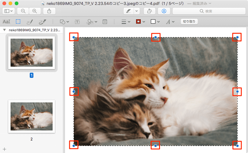 Macのプレビューを使ってpdfの全ページを一括トリミングする方法 あびこさん がんばらない