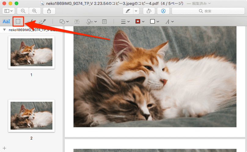 Macのプレビューを使ってpdfの全ページを一括トリミングする方法 あびこさん がんばらない